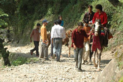 Shivkhori Shrine Board | Shiv Khori Shrine Board | Shiv Khori Jammu | Shivkhori Jammu | Shivkhori shrine | Shivkhori shrine