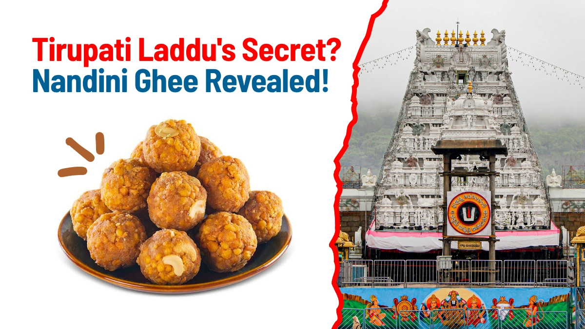 Tirupati Laddu's Secret Nandini Ghee Revealed!