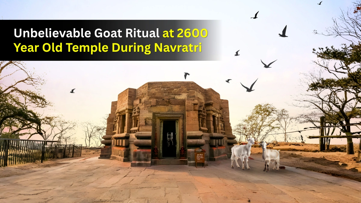 Unbelievable Goat Ritual at 2600 Year Old Temple during Navratri